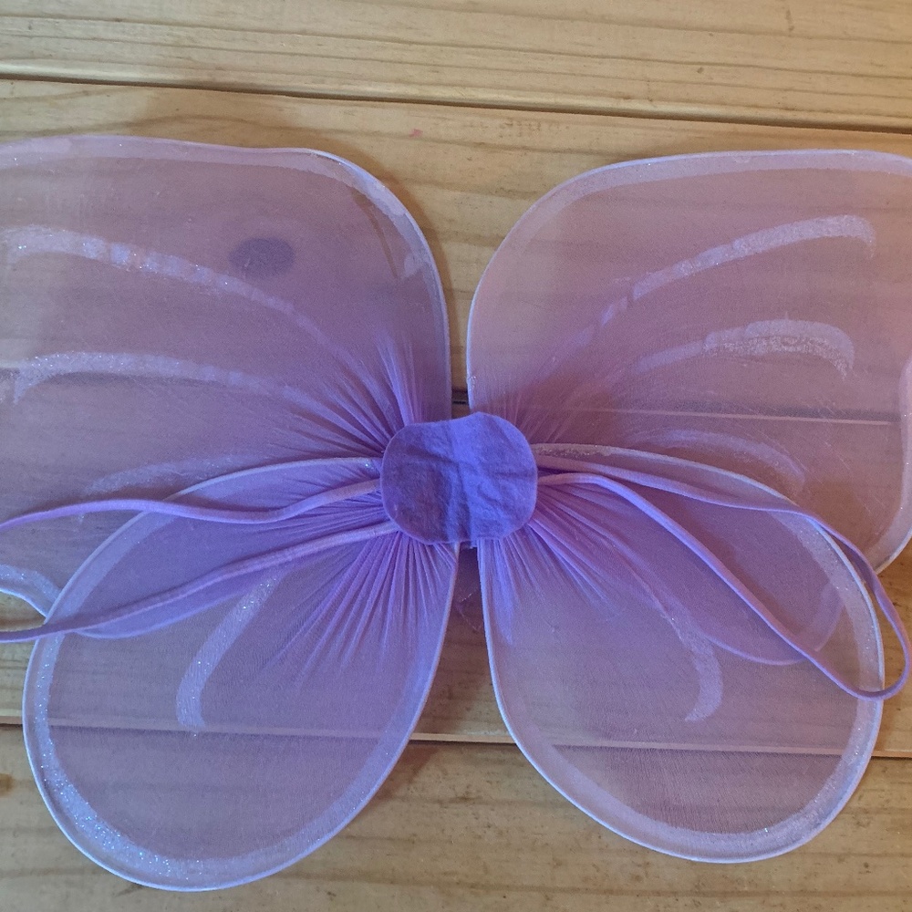 Fairy wings
